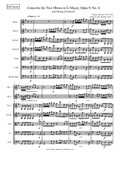 Concerto for Two Oboes and String Orchestra in G Major