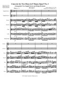 Concerto for Two English horns and String Orchestra in F Major